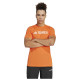 Adidas Ανδρική κοντομάνικη μπλούζα Terrex Multi Climacool Logo Tech Tee Adidas Ανδρική κοντομάνικη μπλούζα Terrex Multi Climacool Logo Tech Tee